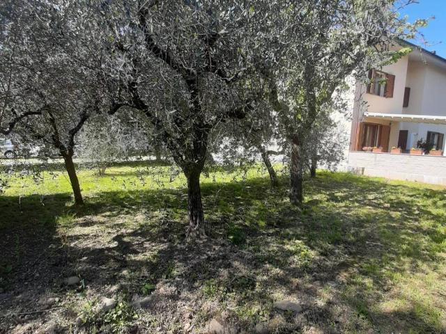 Terreno in vendita a Uzzano E Castello, Toscana