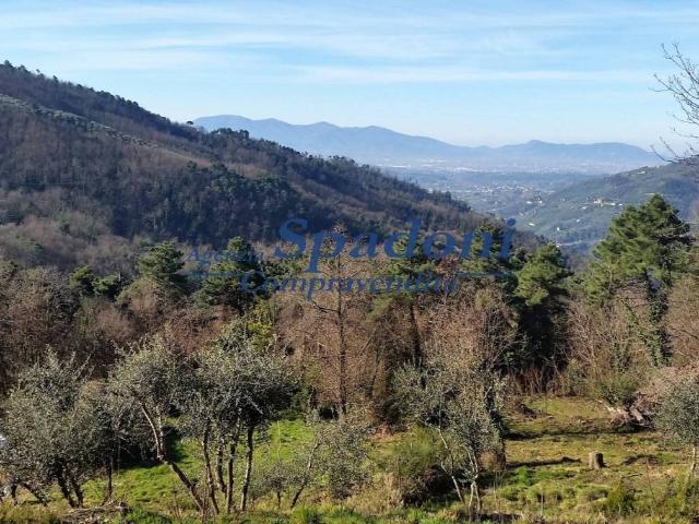Terreno in vendita a San Lorenzo a Cerreto, Uzzano E Castello