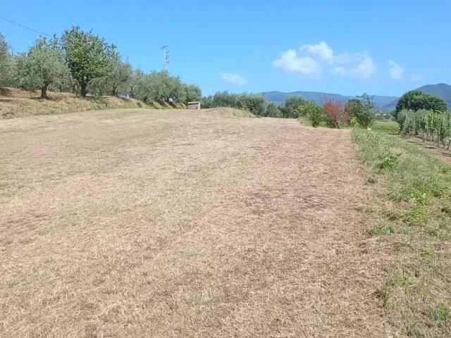 Terreno in vendita a Uzzano E Castello, Toscana