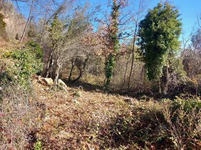 Terreno in vendita a Pescosansonesco, Abruzzo