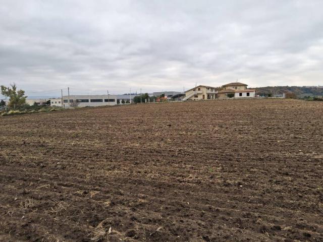 Terreno in vendita a Petacciato, Molise