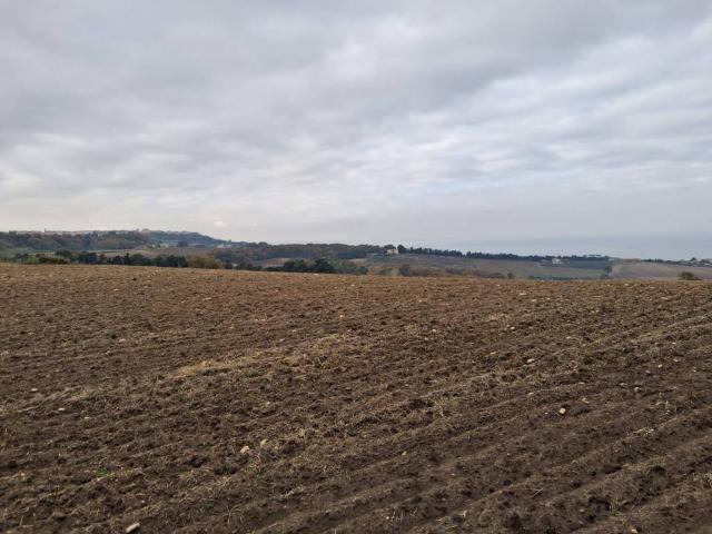 Terreno in vendita a Petacciato, Molise