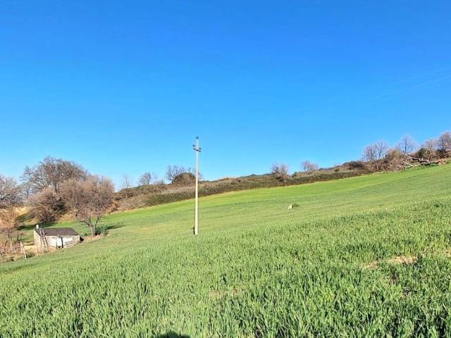 Terreno in vendita a Guglionesi, Molise