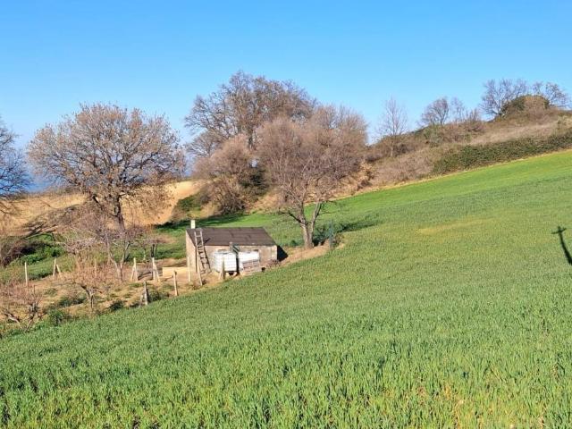 Terreno in vendita a Guglionesi, Molise