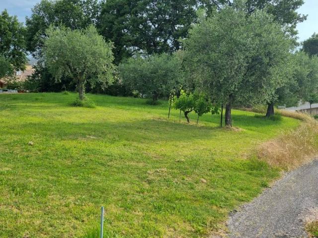 Terreno in vendita a Marche, Macerata