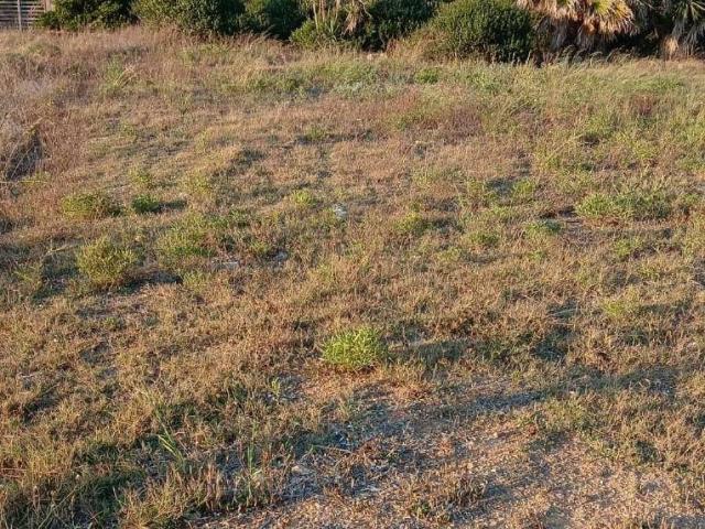 Terreno in vendita a Petrosino, Sicilia