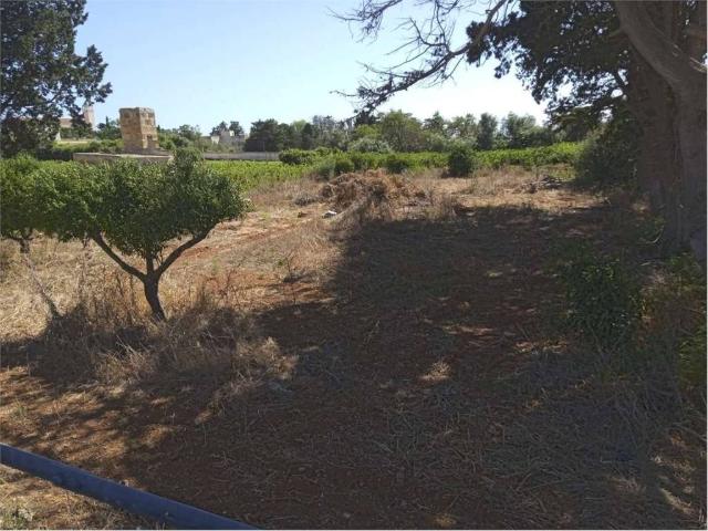 Terreno in vendita a Petrosino, Sicilia