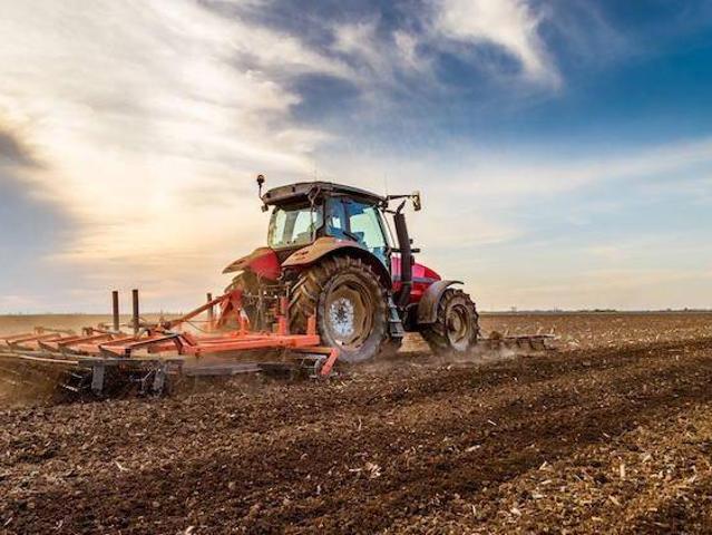 Terreno in vendita a Piacenza D'adige, Veneto
