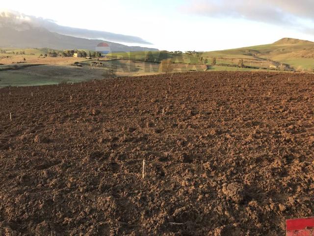 Terreno in vendita a Piana degli Albanesi, Palermo
