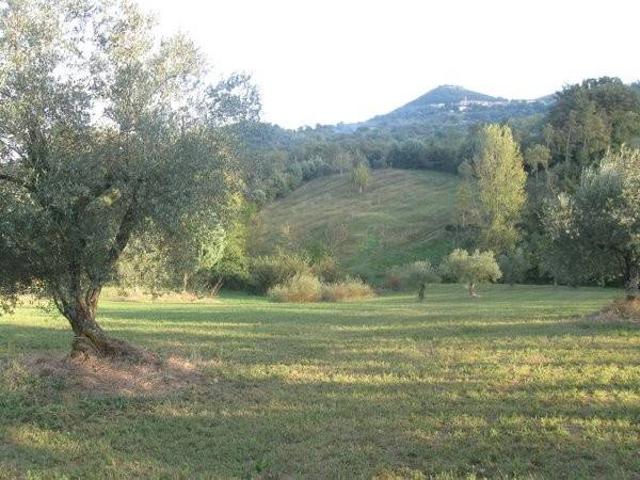 Terreno in vendita a Piana Di Monte Verna, Campania