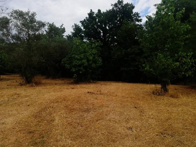Terreno in vendita a Piana Di Monte Verna, Campania