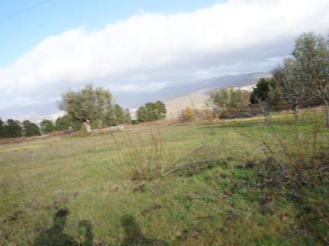 Terreno in vendita a Calabria, Cosenza