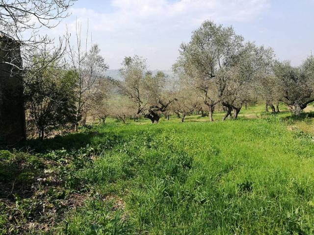 Terreno in vendita a Pianella, Abruzzo