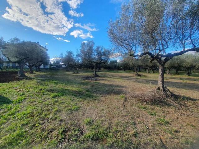 Terreno in vendita a Pianella, Abruzzo