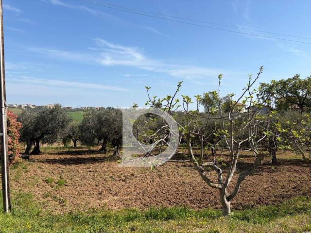 Terreno in vendita a Pianella, Abruzzo