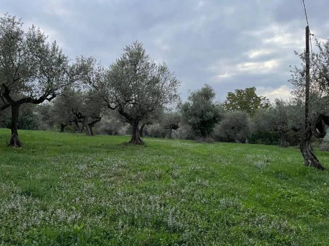 Terreno in vendita a Pianella, Abruzzo
