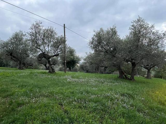 Terreno in vendita a Pianella, Abruzzo