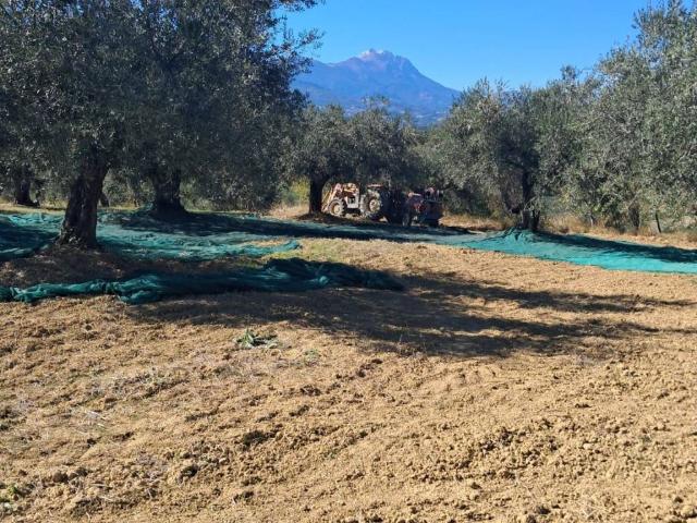 Terreno in vendita a Pianella, Abruzzo