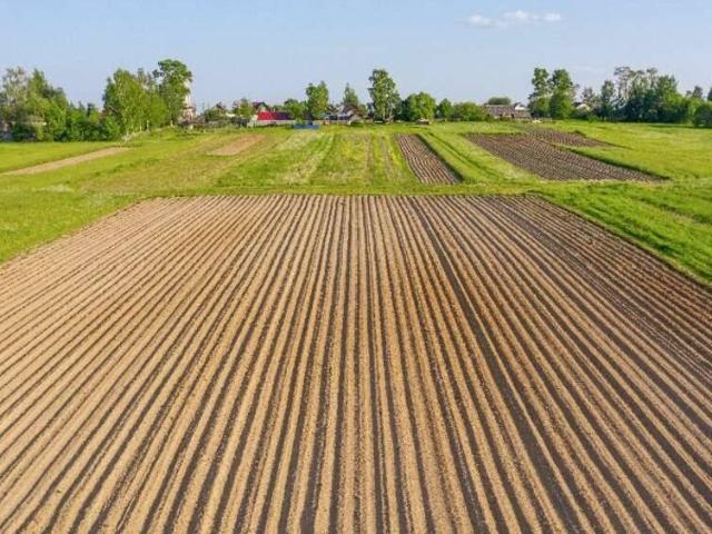 Terreno in vendita a Mellaredo, Pianiga