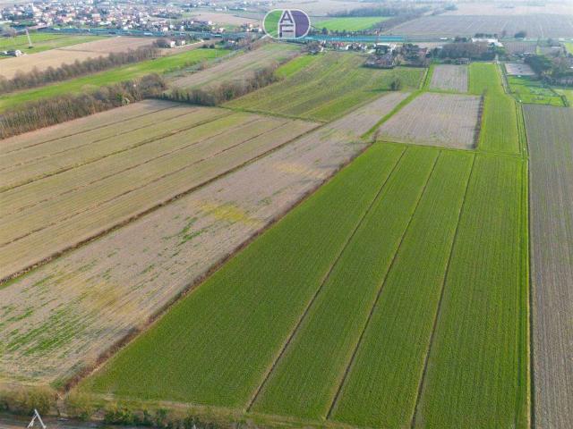 Terreno in vendita a Albarea, Pianiga