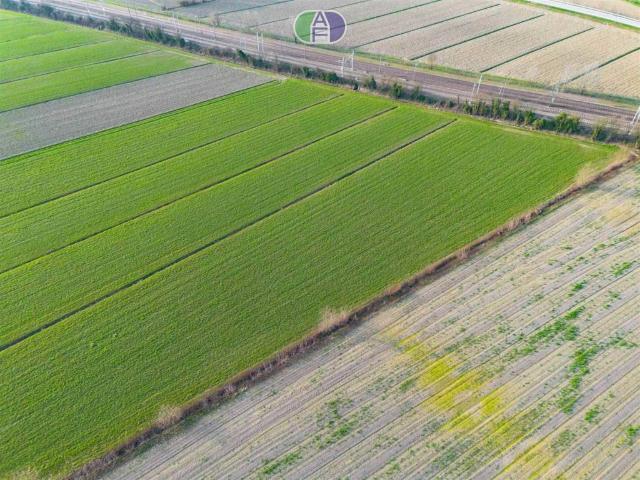 Terreno in vendita a Albarea, Pianiga
