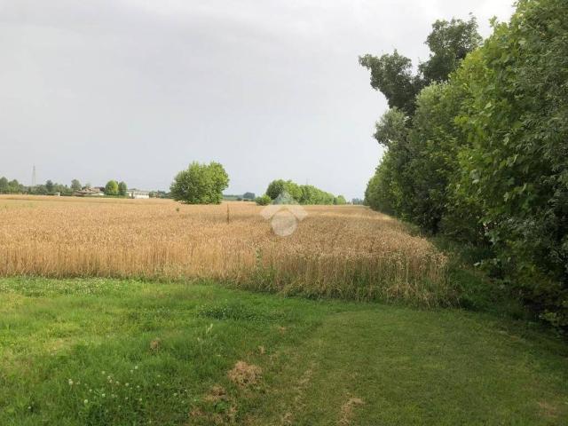 Terreno in vendita a Rivale, Pianiga