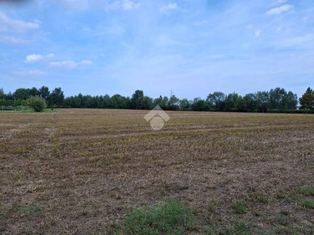 Terreno in vendita a Pianiga, Veneto