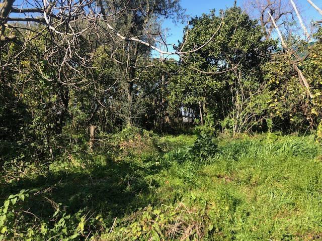 Terreno in vendita a Piano Di Sorrento, Campania