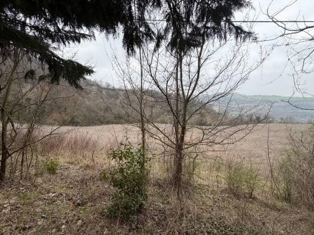 Terreno in vendita a Unione dei comuni Savena-Idice, Pianoro