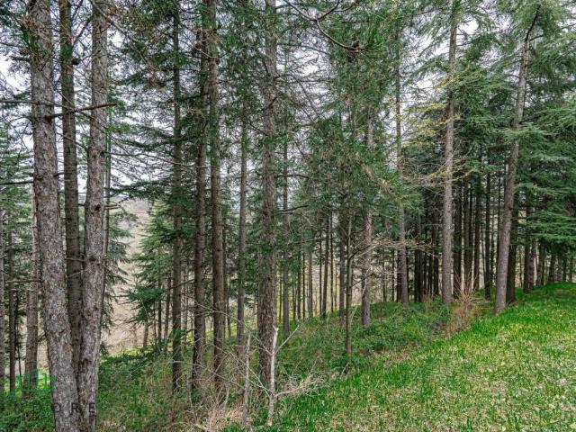 Terreno in vendita a Unione dei comuni Savena-Idice, Pianoro