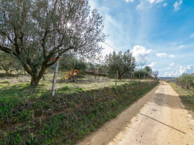Terreno in vendita a Piazza, Sicilia
