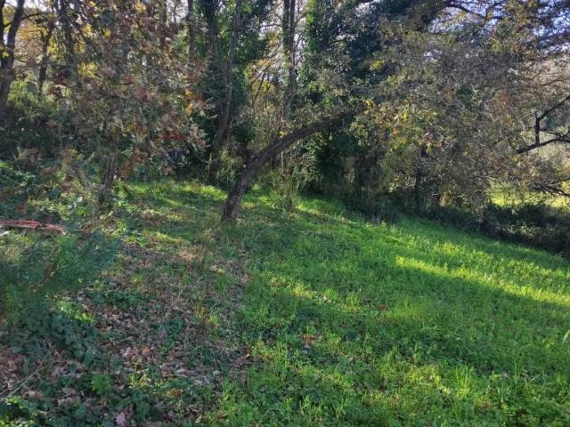 Terreno in vendita a Piazza, Sicilia