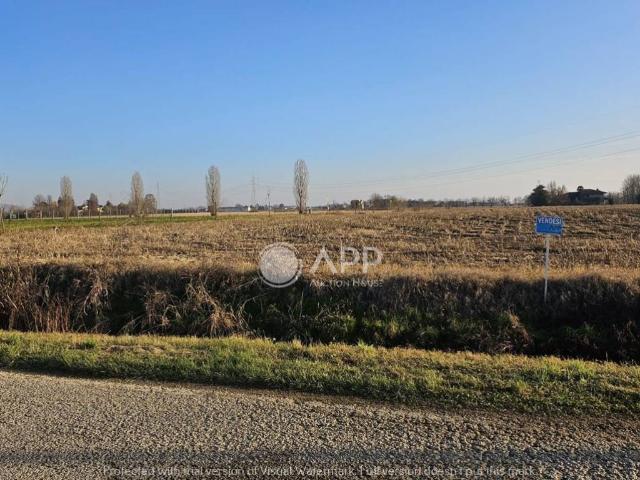 Terreno in vendita a Piazzola Sul Brenta, Veneto