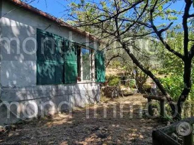 Terreno in vendita a Piedimonte Etneo, Sicilia