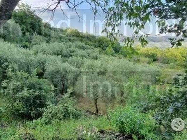 Terreno in vendita a Piedimonte Etneo, Sicilia