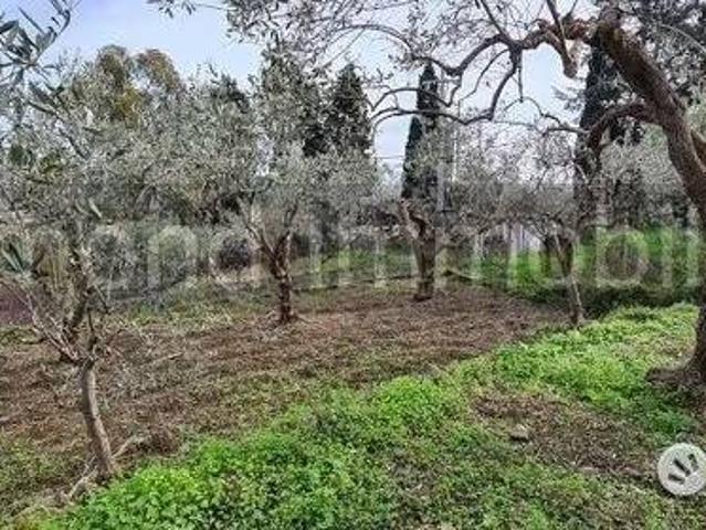 Terreno in vendita a Piedimonte Etneo, Sicilia