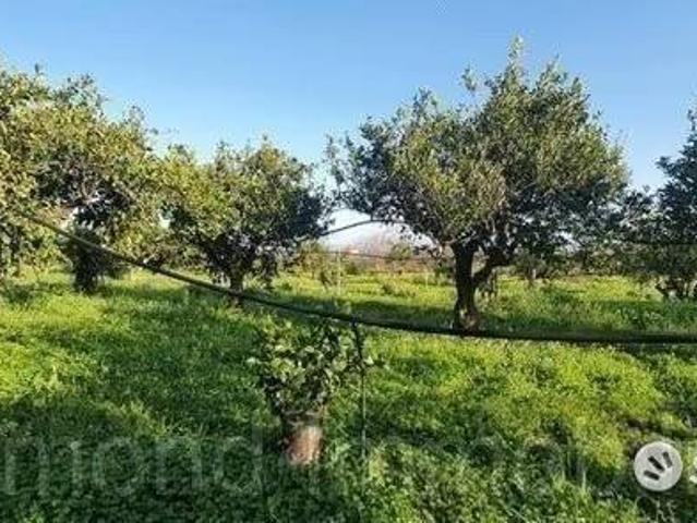 Terreno in vendita a Piedimonte Etneo, Sicilia