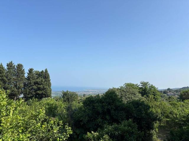 Terreno in vendita a Piedimonte Etneo, Sicilia