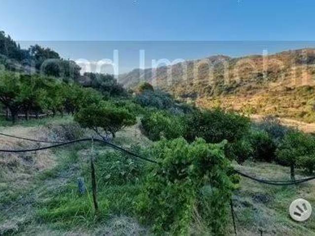 Terreno in vendita a Piedimonte Etneo, Sicilia