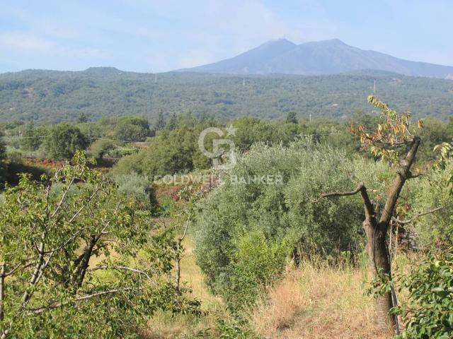 Terreno in vendita a Piedimonte Etneo, Sicilia