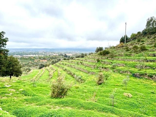 Terreno in vendita a Piedimonte Etneo, Sicilia