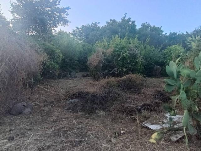 Terreno in vendita a Piedimonte Etneo, Sicilia