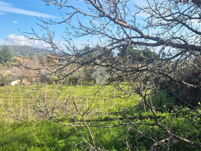 Terreno in vendita a Piedimonte Etneo, Sicilia