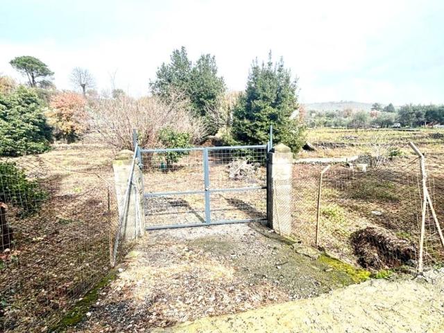 Terreno in vendita a Piedimonte Etneo, Sicilia