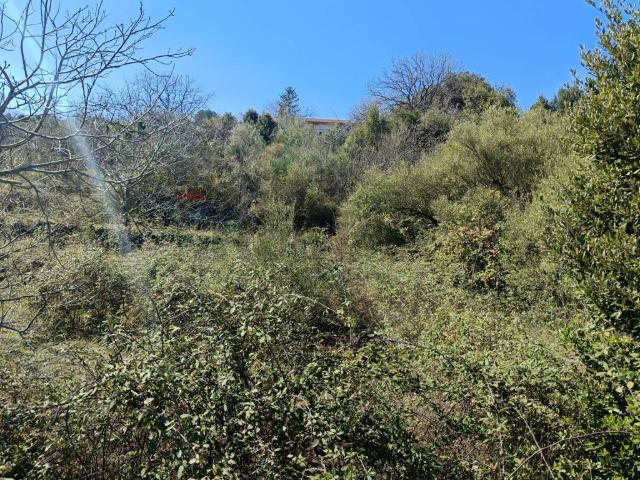 Terreno in vendita a Piedimonte Etneo, Sicilia