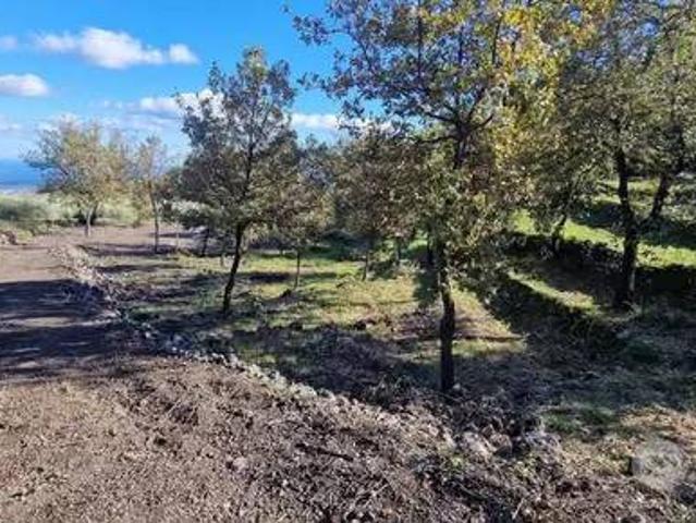 Terreno in vendita a Piedimonte Etneo, Sicilia