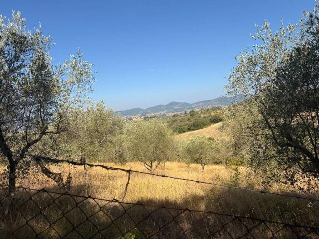 Terreno in vendita a Piegaro, Umbria