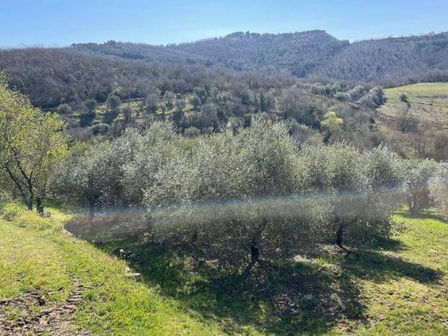 Terreno in vendita a Refogliano, Piegaro