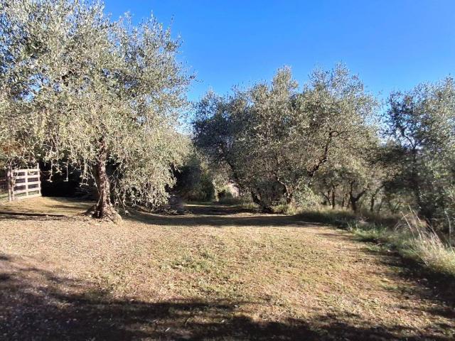 Terreno in vendita a Greppolischieto, Piegaro