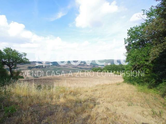 Terreno in vendita a Pienza, Toscana